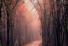 小特克星出现!球员锦标赛囧哥10-9夺冠,本赛季.