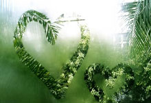 [德甲]意外与失误 以及之后的事.