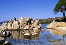 瑞士公开赛第5日:国羽6胜1负,提前预定2金,陈雨菲翁泓阳冲首冠.